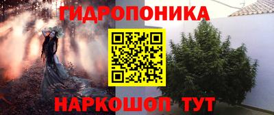 прущие крисы Донской