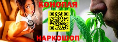 прущие крисы Донской
