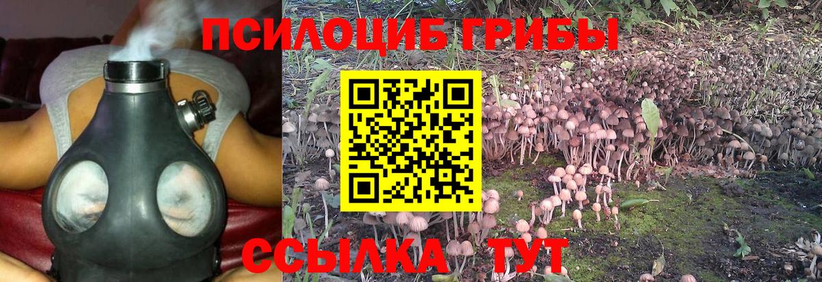 Галлюциногенные грибы мицелий  Вход с VPN  Магнитогорск 