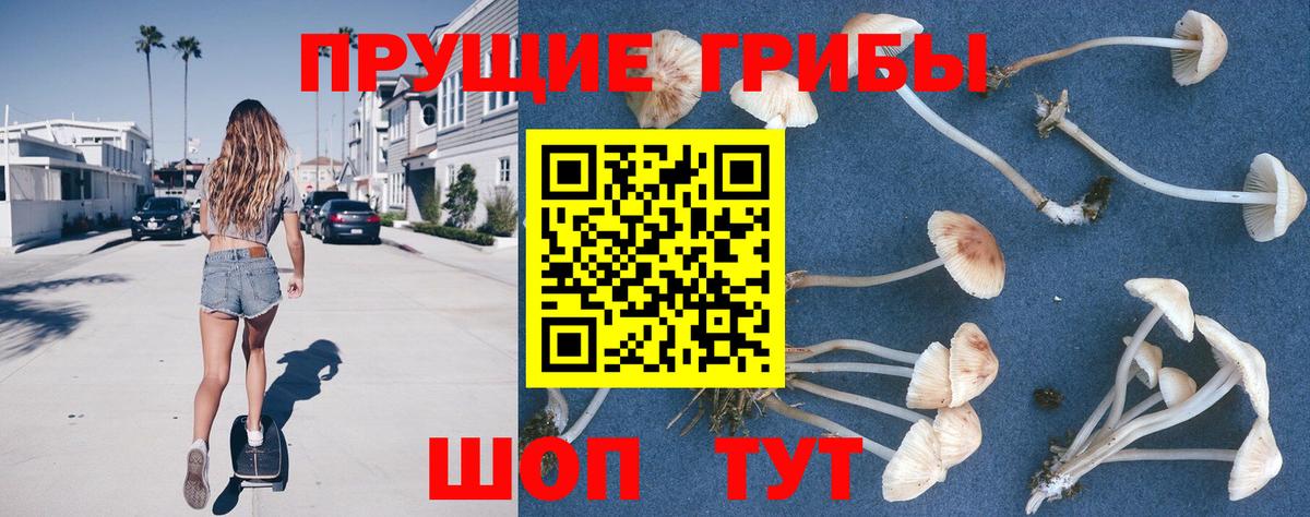 Псилоцибиновые грибы ЛСД Магнитогорск